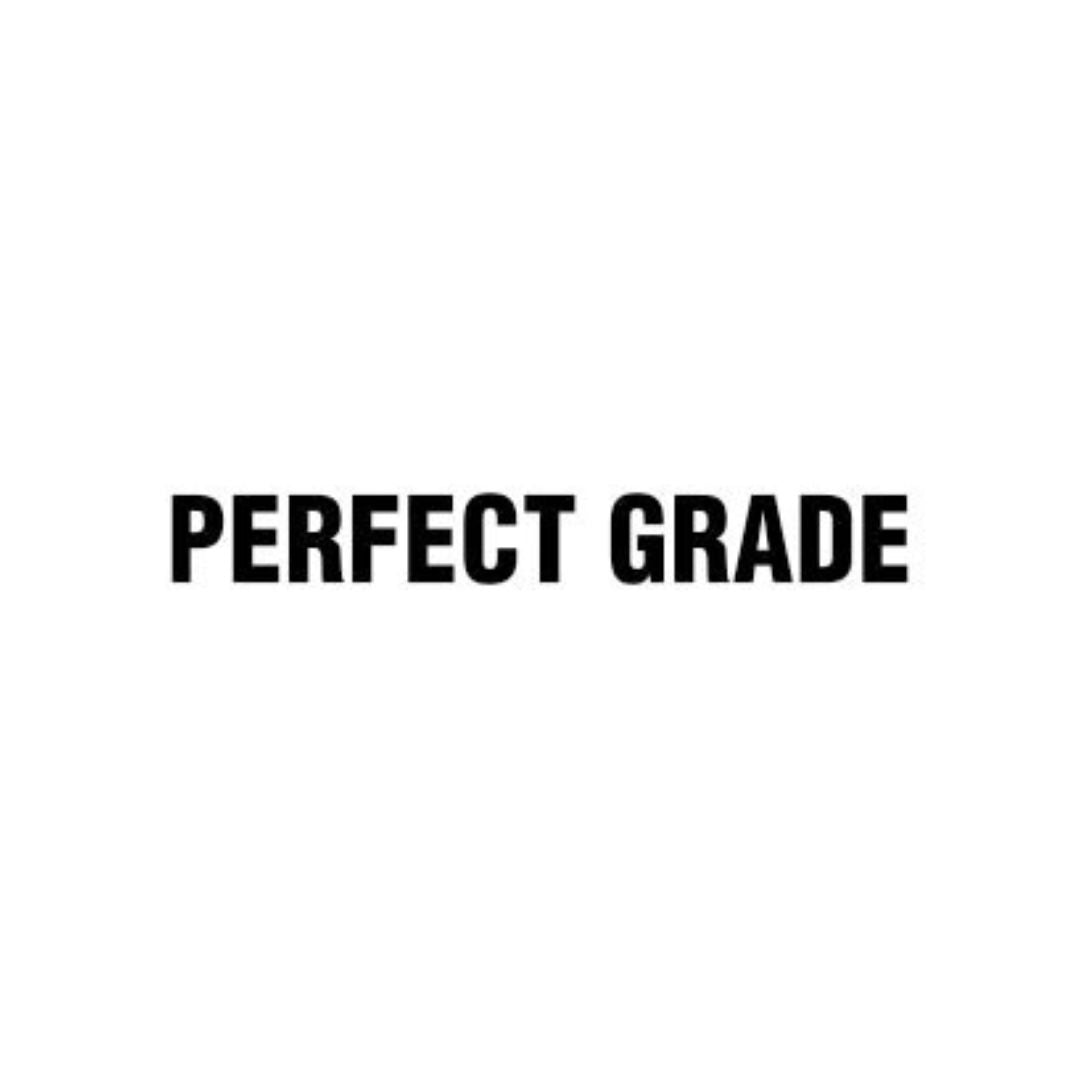 Bandai 1/60 Perfect Grade (PG)