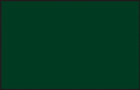 Mr Color C015 IJN Green (Nakajima) 10ml