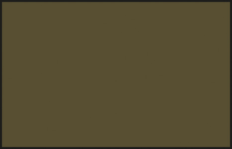 Mr Color C055 Khaki 10ml