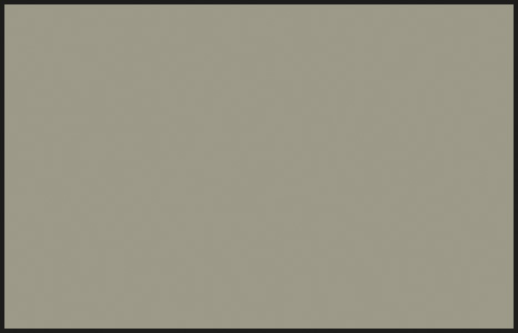 Mr Color C060 RLM02 Gray 10ml
