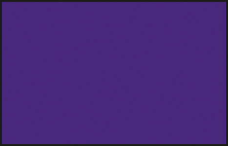 Mr Color C067 Purple 10ml