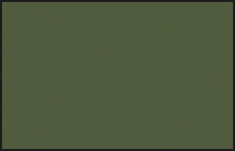 Mr Color C130 Dark Green (Kawasaki) 10ml
