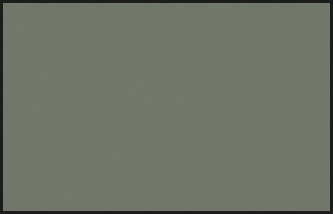 Mr Color C317 Gray FS36231 10ml