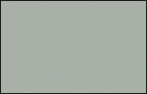 Mr Color C325 Gray FS26440 10ml