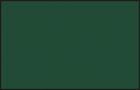 Mr Color C016 IJA Green 10ml
