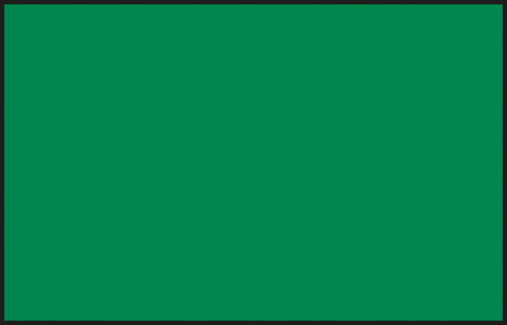 Mr Color C077 Metallic Green 10ml