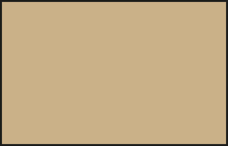 Mr Color C528 IDF Gray 1 (1981 Sinai) 10ml