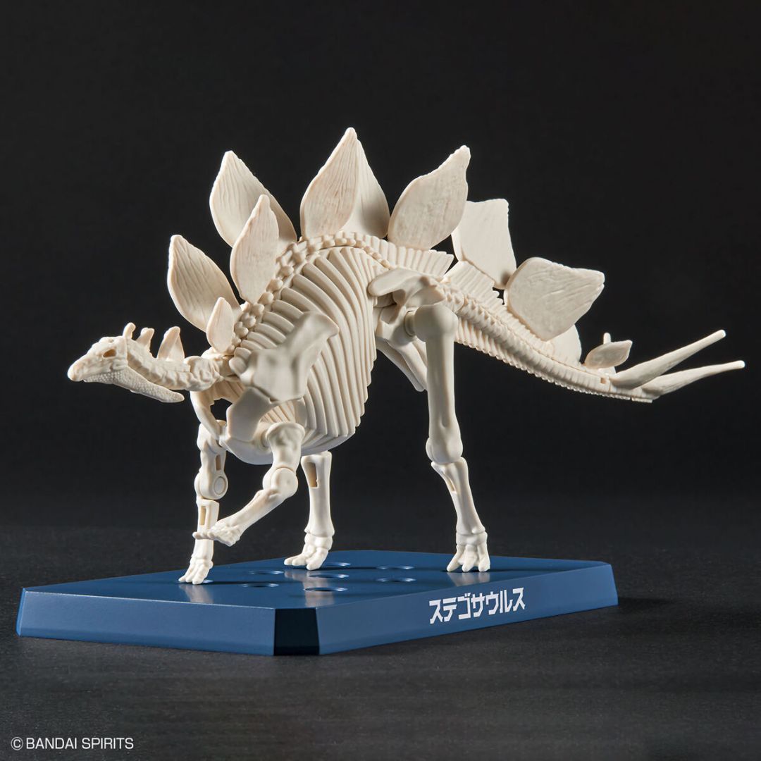 Bandai PLANNOSAURUS Stegosaurus Model Kit