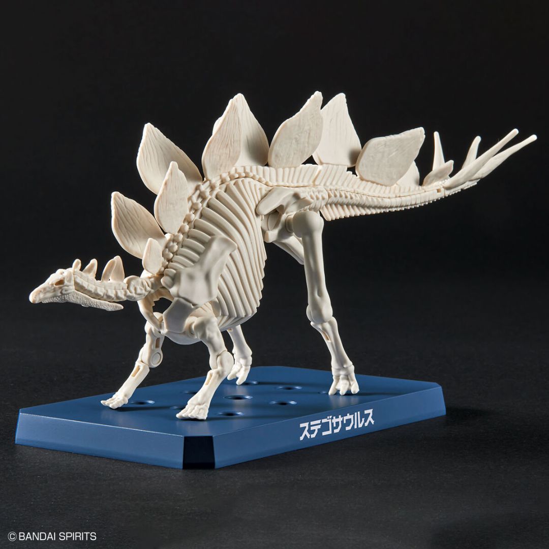 Bandai PLANNOSAURUS Stegosaurus Model Kit