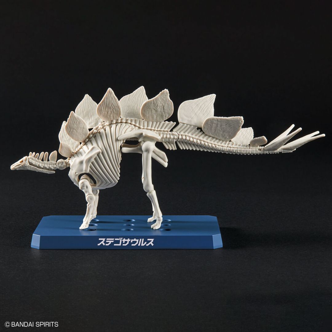 Bandai PLANNOSAURUS Stegosaurus Model Kit