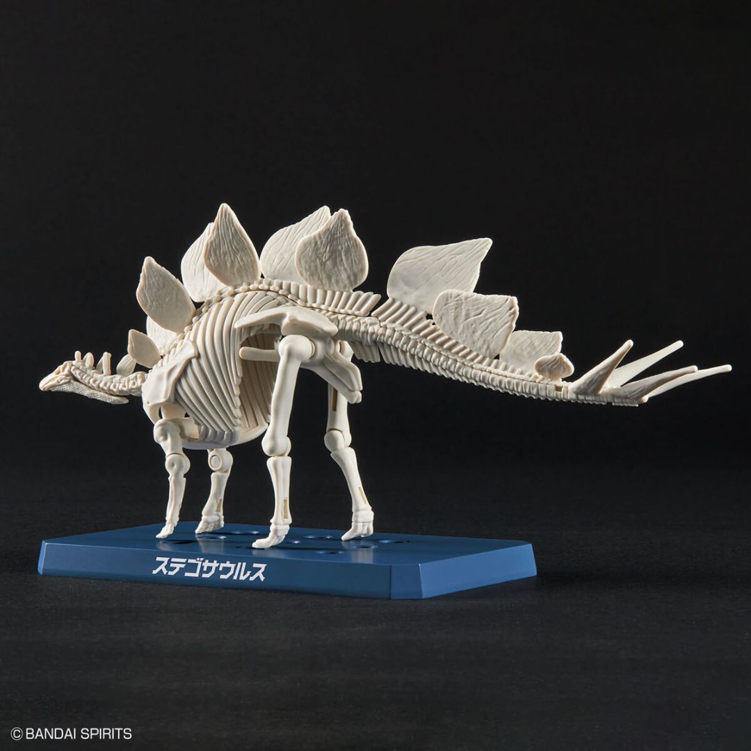 Bandai PLANNOSAURUS Stegosaurus Model Kit