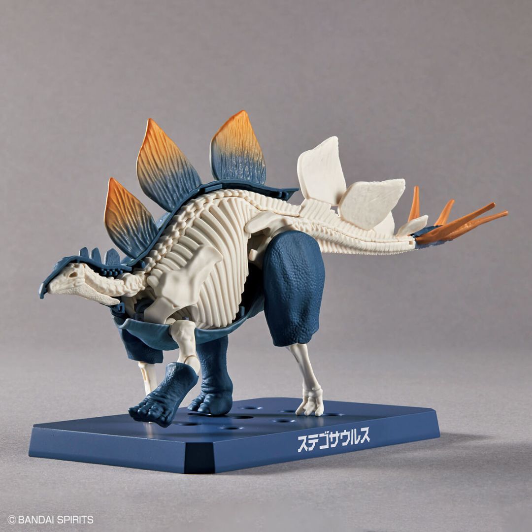 Bandai PLANNOSAURUS Stegosaurus Model Kit