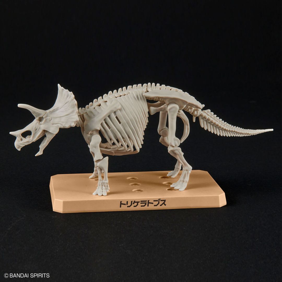 Bandai PLANNOSAURUS Triceratops Model Kit