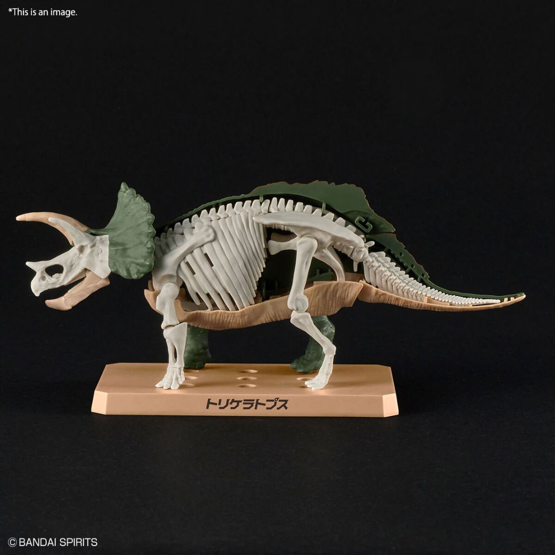 Bandai PLANNOSAURUS Triceratops Model Kit