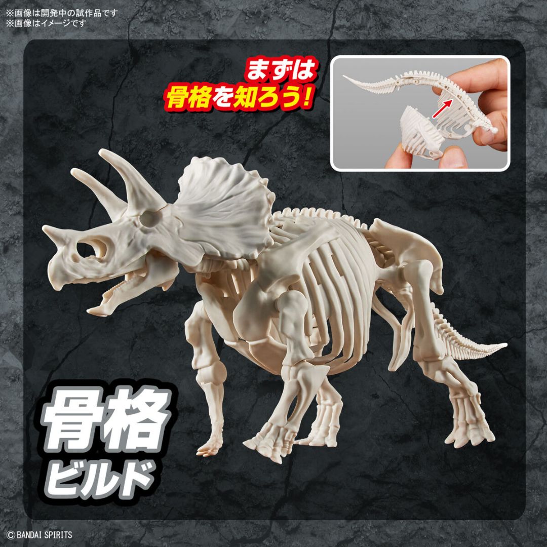 Bandai PLANNOSAURUS Triceratops Model Kit