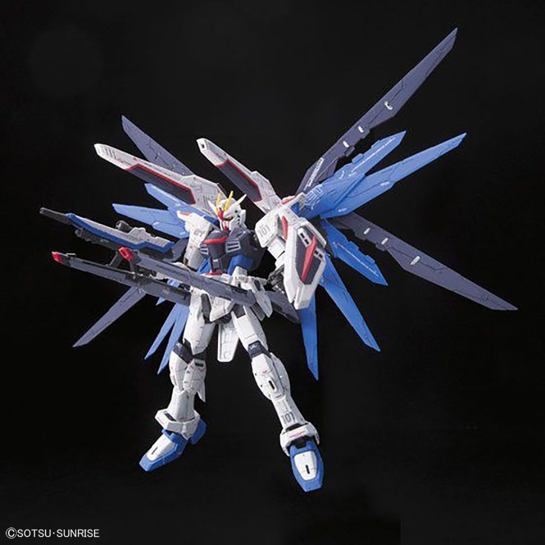Bandai RG 1/144 Freedom Gundam #05